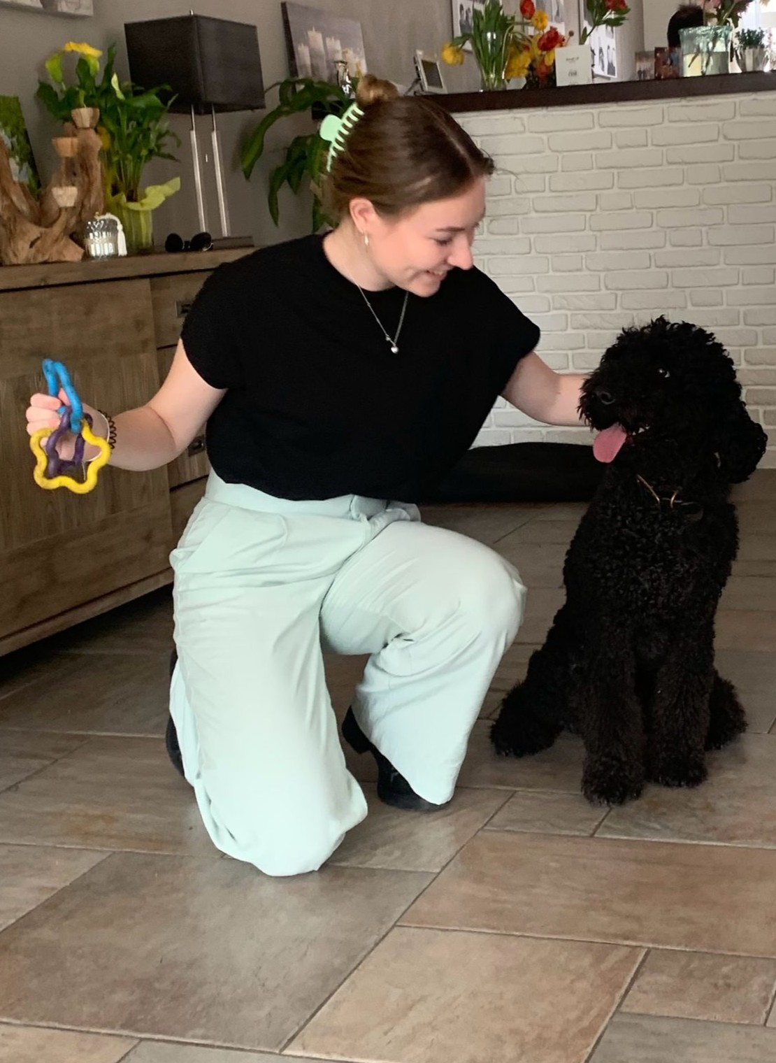 Pet sitter with cats and dogs