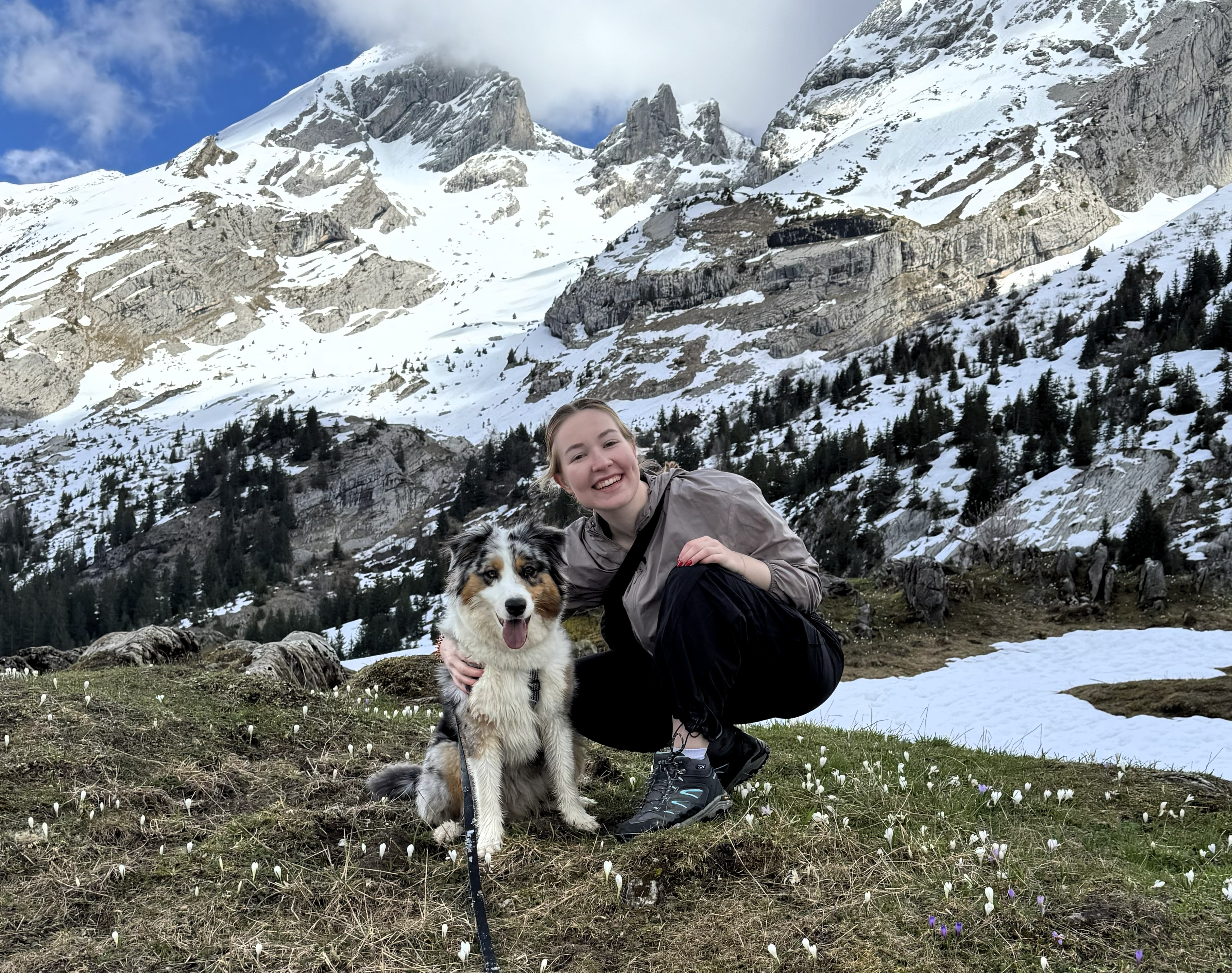 Professional pet sitter with happy dog in nature
